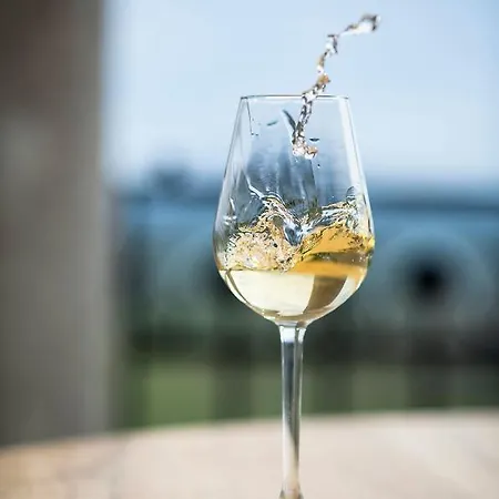 Hotel Kincsem Kastely Tolcsva