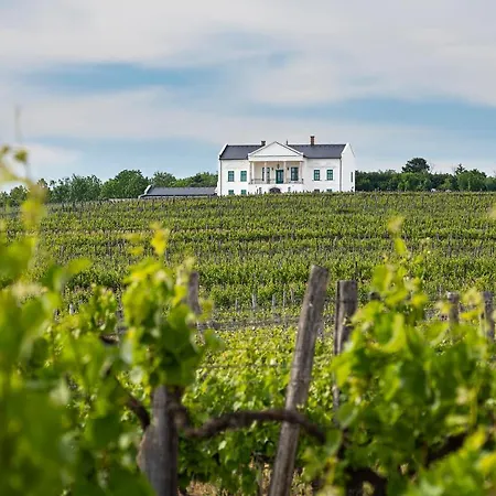 Otel Kincsem Kastely