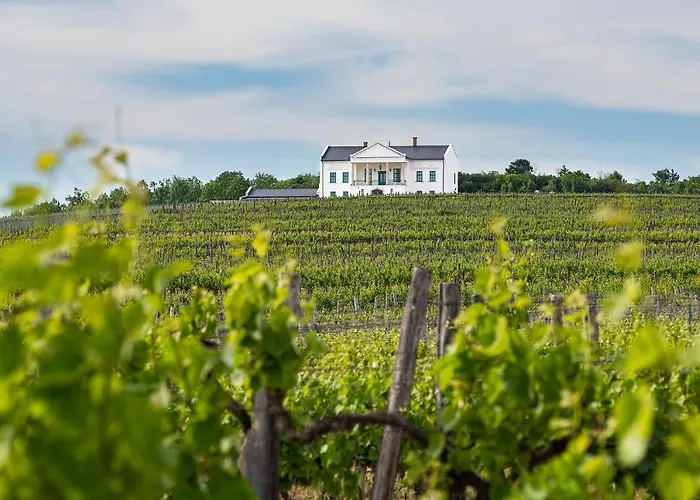 Отель Kincsem Kastely